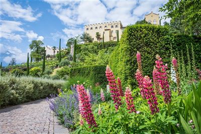 Garten im Schloss